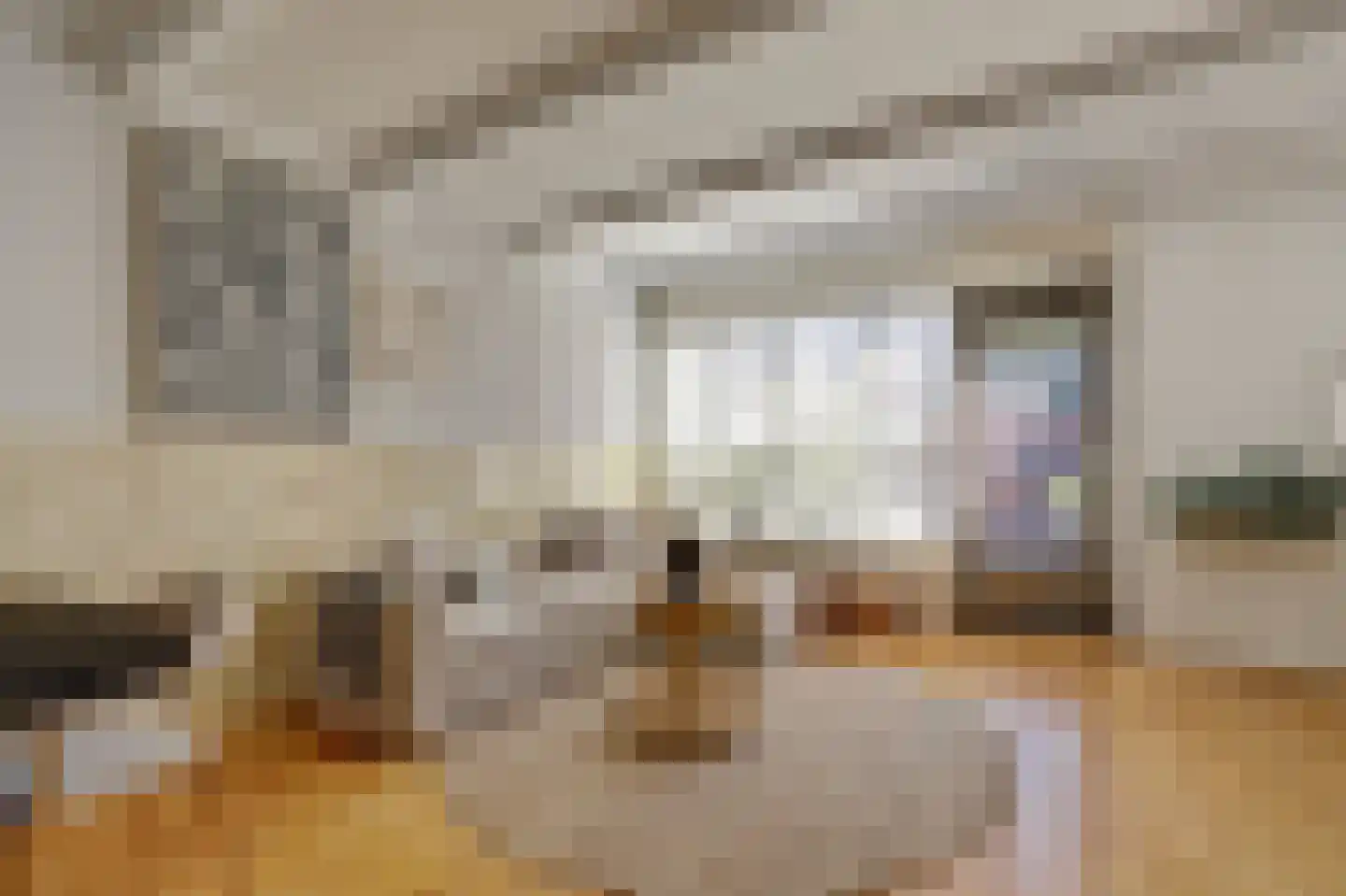 Rietzoom 137 Gouda thumbnail 9