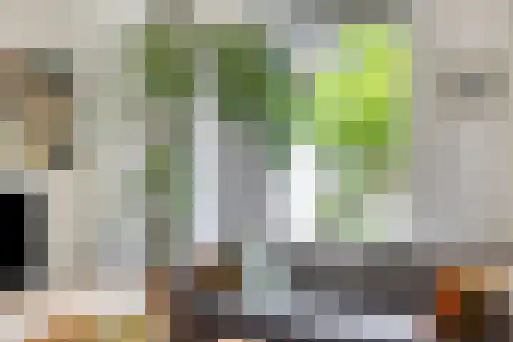 Rietzoom 14 Meppel thumbnail 11