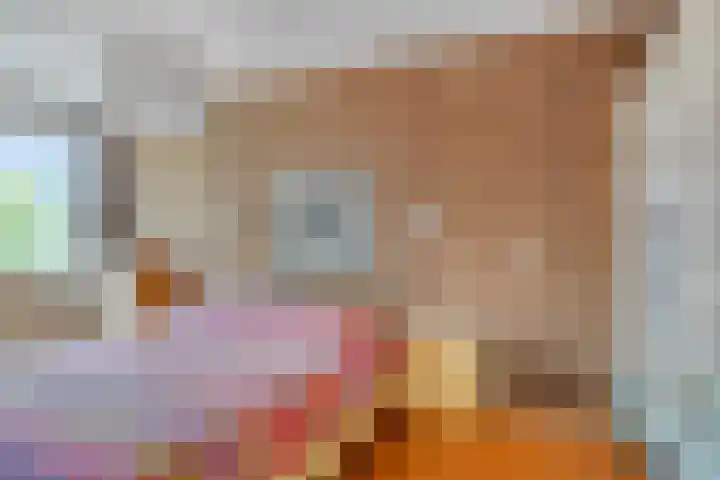 Rietzoom 14 Meppel thumbnail 22