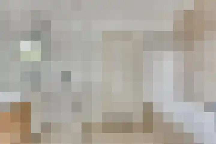 Rietzoom 14 Meppel thumbnail 25