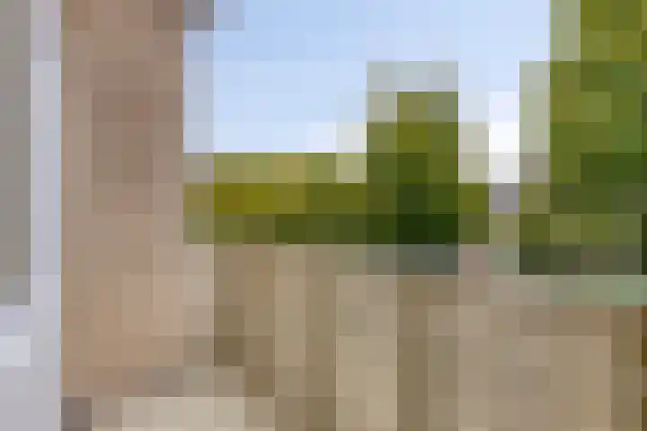 Rietzoom 14 Meppel thumbnail 29