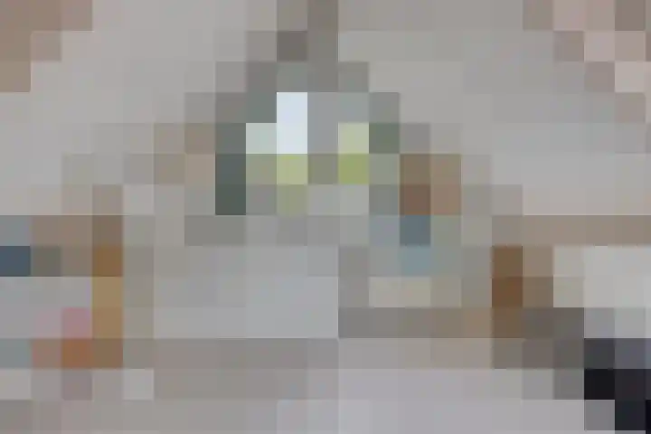 Rietzoom 14 Meppel thumbnail 34