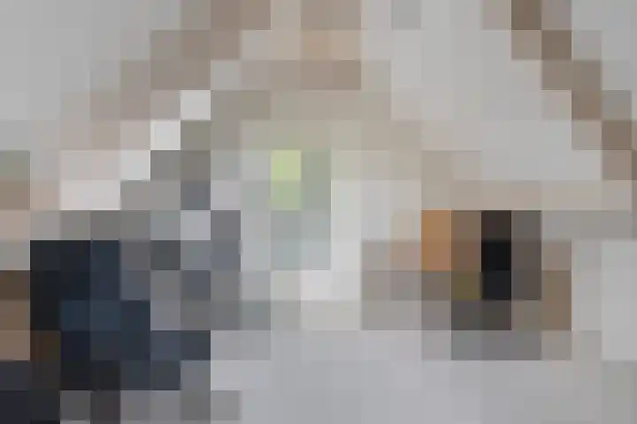 Rietzoom 14 Meppel thumbnail 35