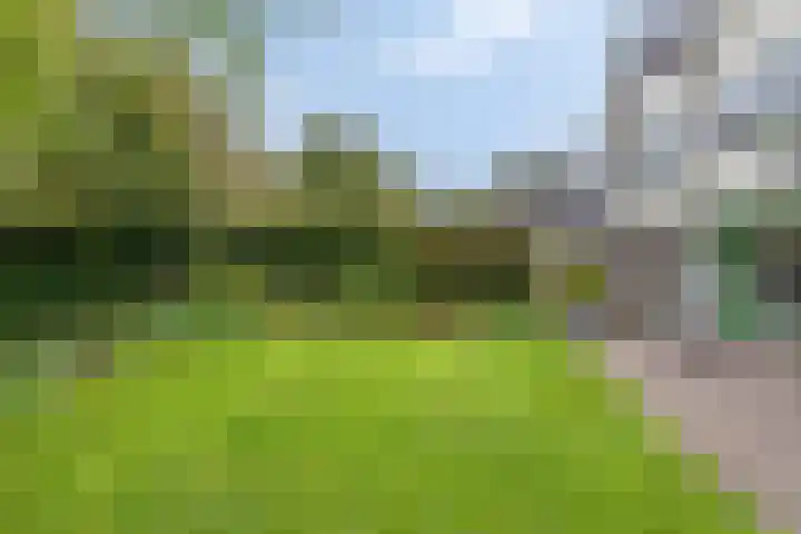 Rietzoom 14 Meppel thumbnail 38
