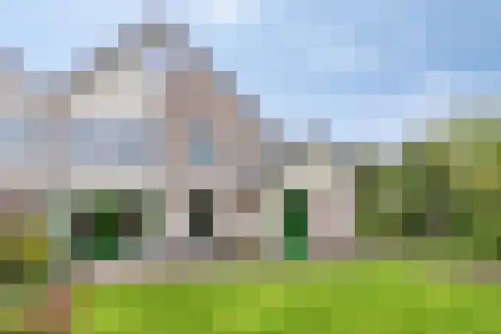 Rietzoom 14 Meppel thumbnail 4