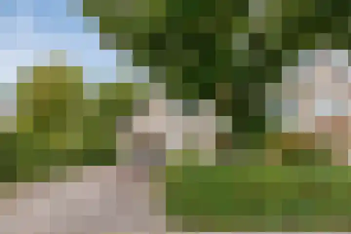 Rietzoom 14 Meppel thumbnail 43