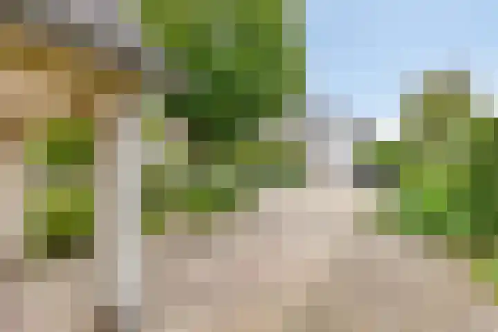 Rietzoom 14 Meppel thumbnail 44
