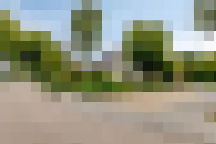 Rietzoom 14 Meppel thumbnail 45