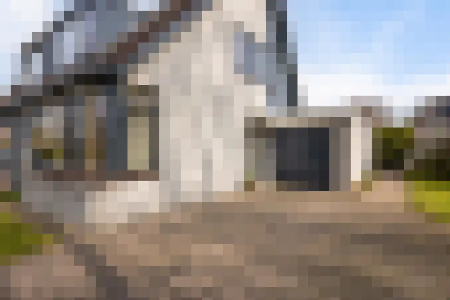 Rietzoom 16 Delfzijl thumbnail 10
