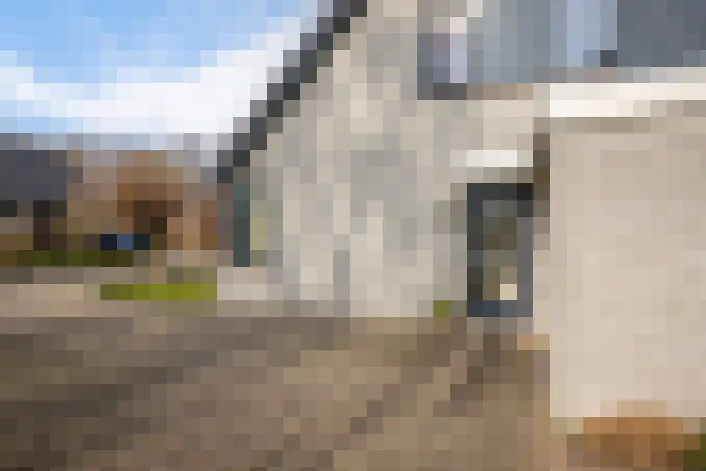 Rietzoom 16 Delfzijl thumbnail 11