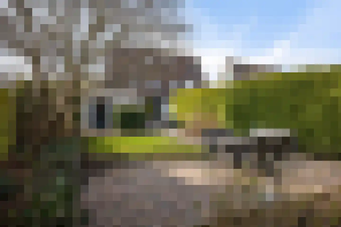 Rietzoom 16 Delfzijl thumbnail 12