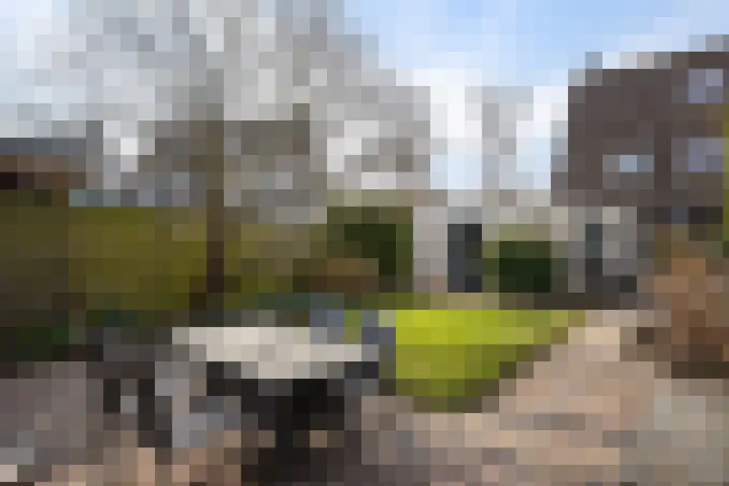 Rietzoom 16 Delfzijl thumbnail 13