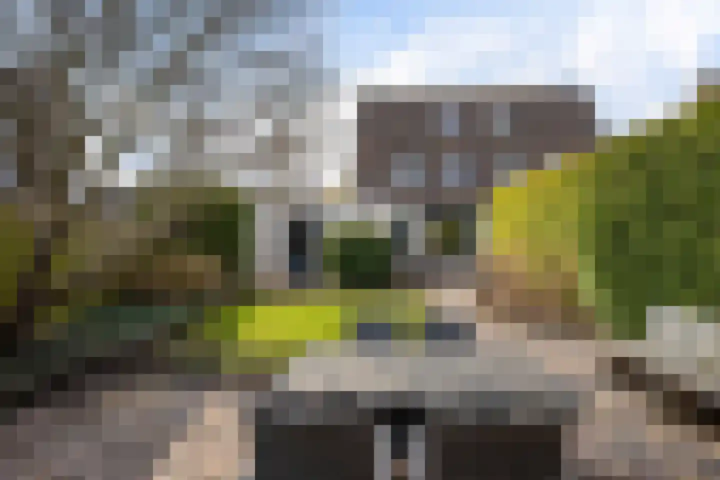 Rietzoom 16 Delfzijl thumbnail 14
