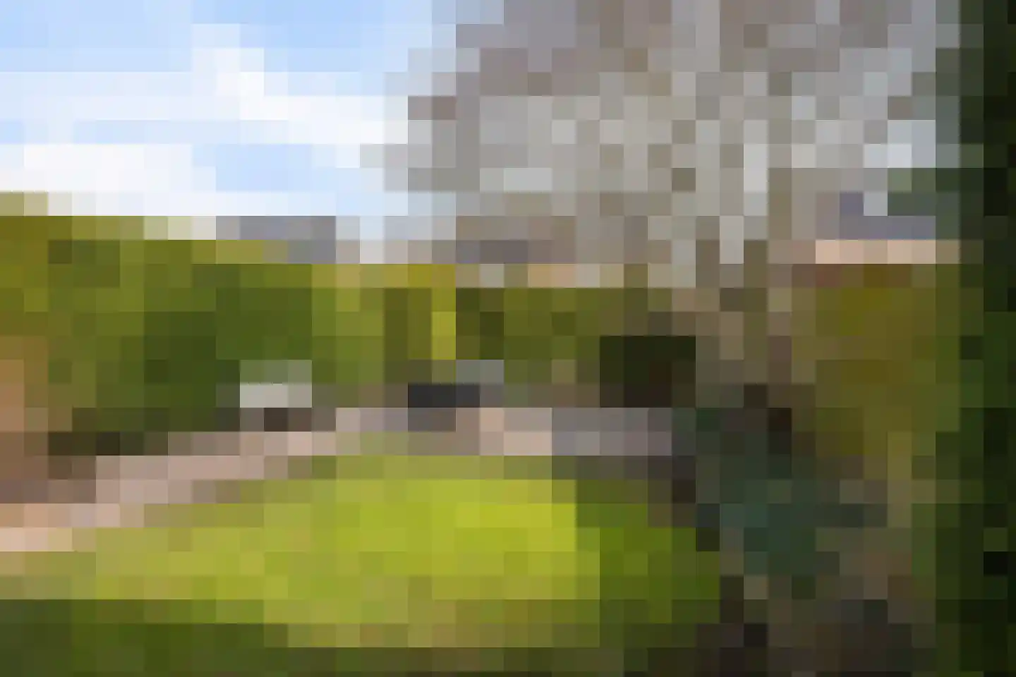 Rietzoom 16 Delfzijl thumbnail 16
