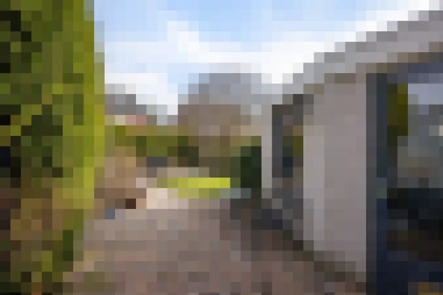 Rietzoom 16 Delfzijl thumbnail 17