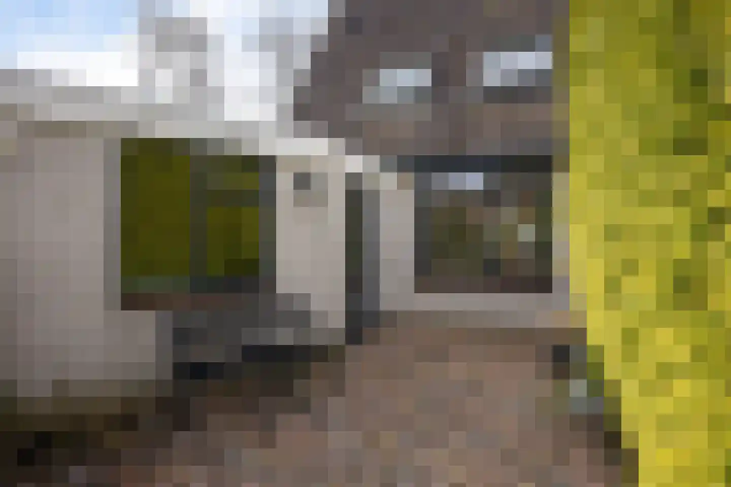 Rietzoom 16 Delfzijl thumbnail 19