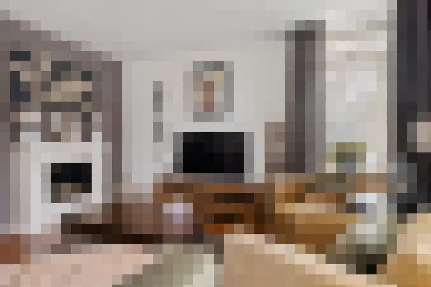 Rietzoom 16 Delfzijl thumbnail 23