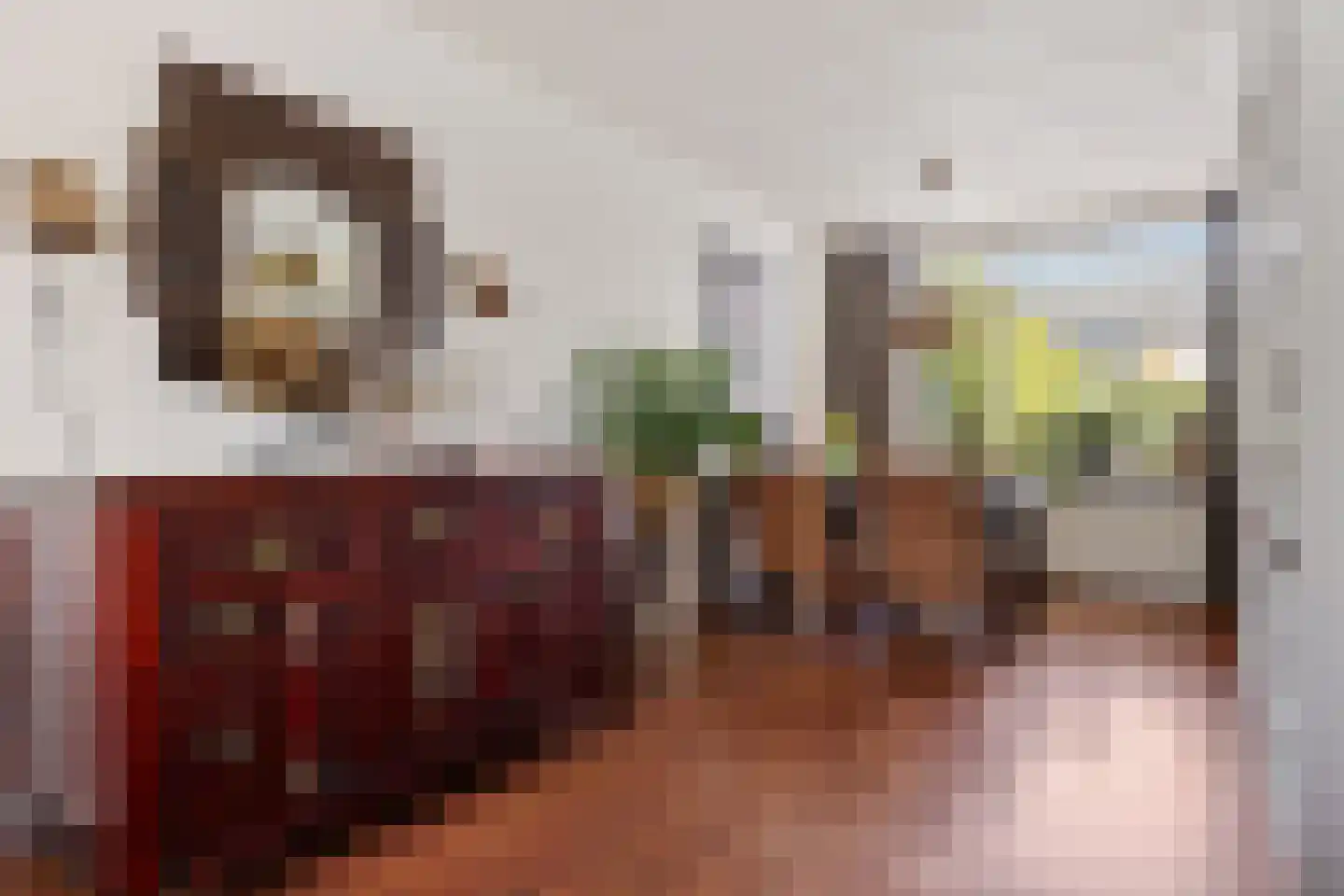 Rietzoom 16 Delfzijl thumbnail 29