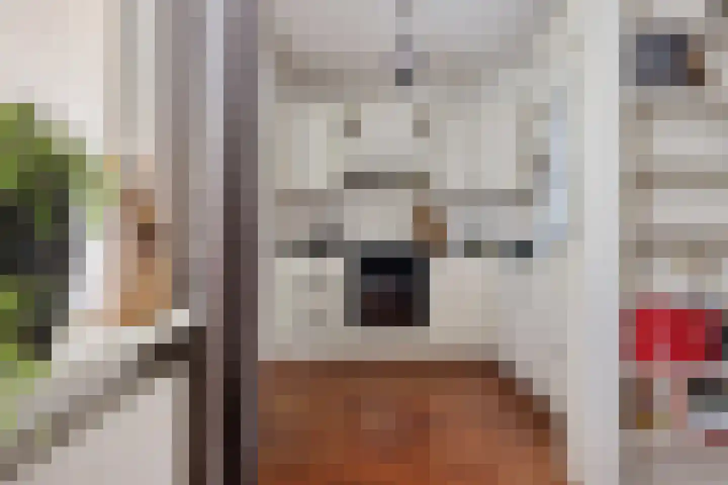 Rietzoom 16 Delfzijl thumbnail 31