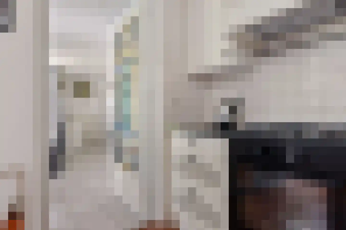 Rietzoom 16 Delfzijl thumbnail 34
