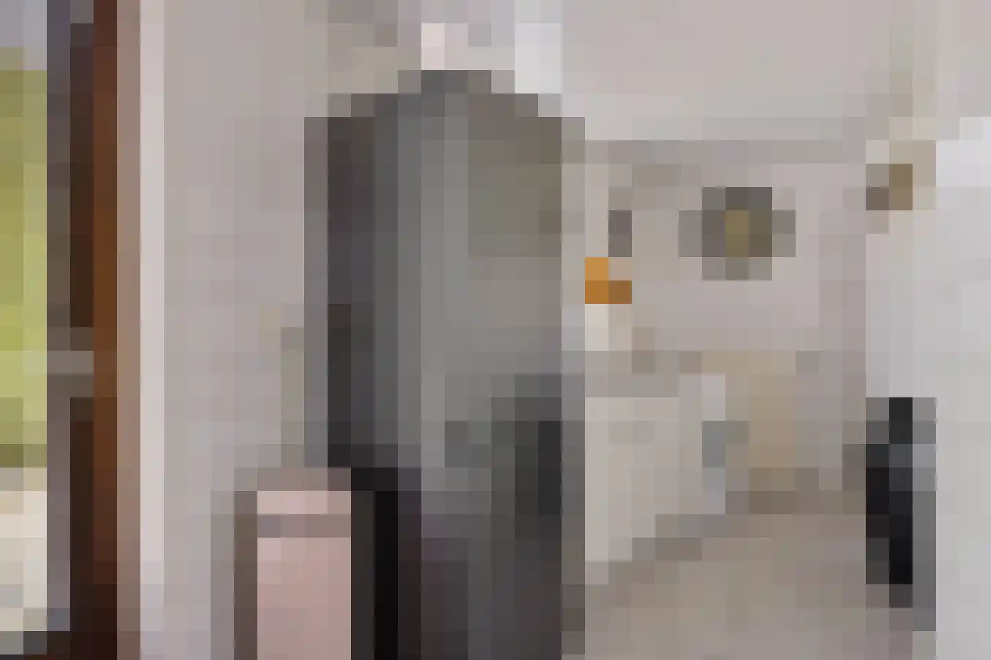 Rietzoom 16 Delfzijl thumbnail 35