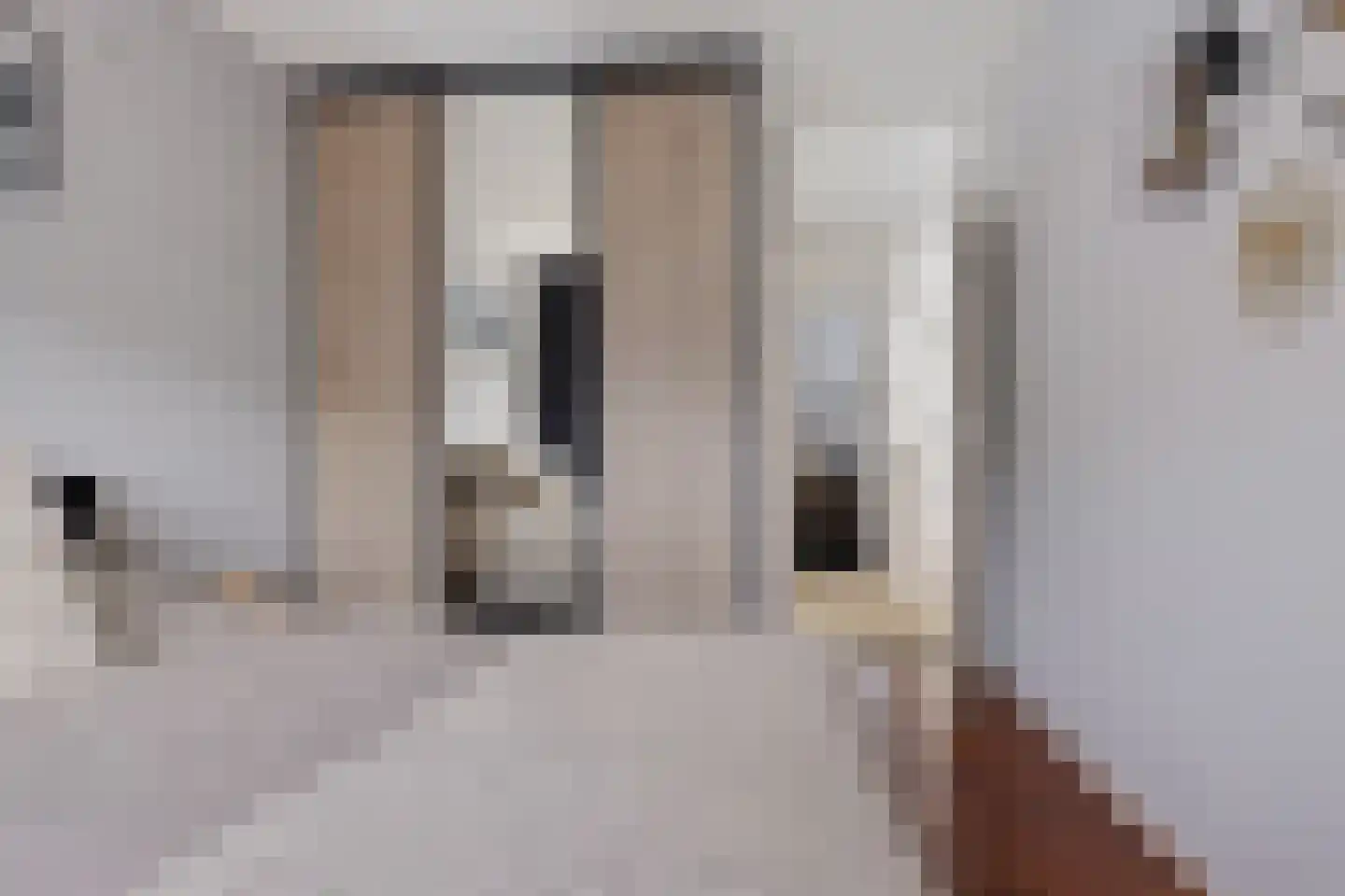 Rietzoom 16 Delfzijl thumbnail 40
