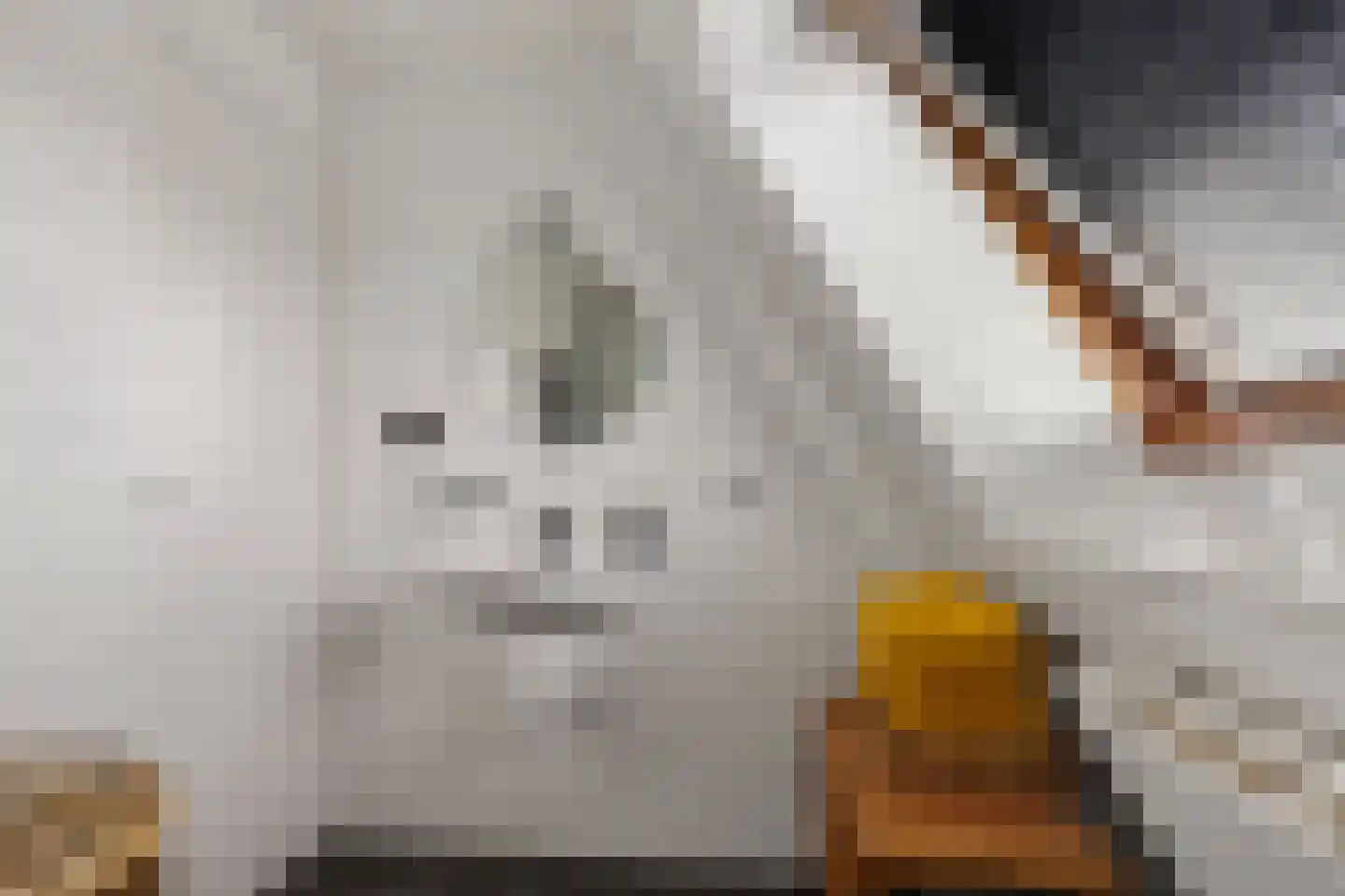 Rietzoom 16 Delfzijl thumbnail 45