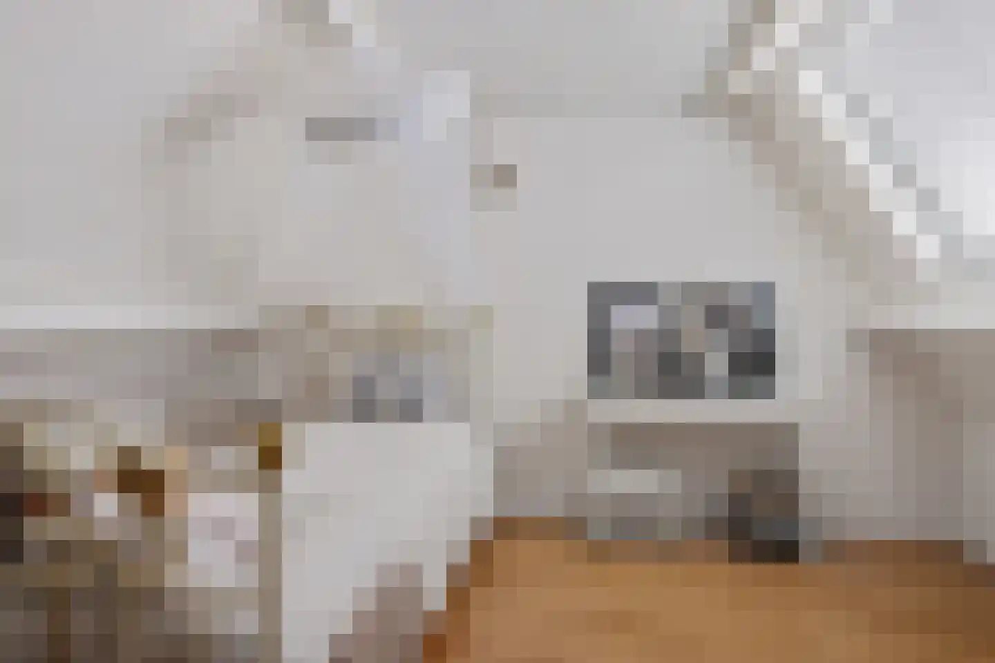Rietzoom 16 Delfzijl thumbnail 50