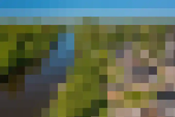 Rietzoom 17 Delfzijl thumbnail 10