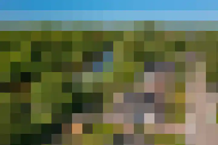 Rietzoom 17 Delfzijl thumbnail 12