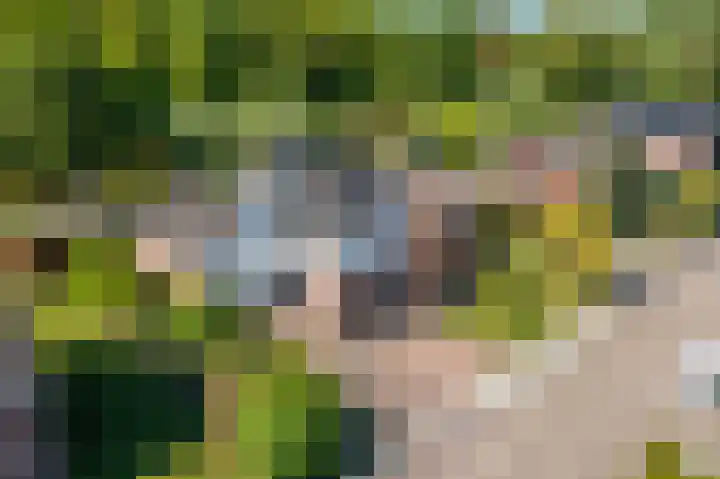 Rietzoom 17 Delfzijl thumbnail 13