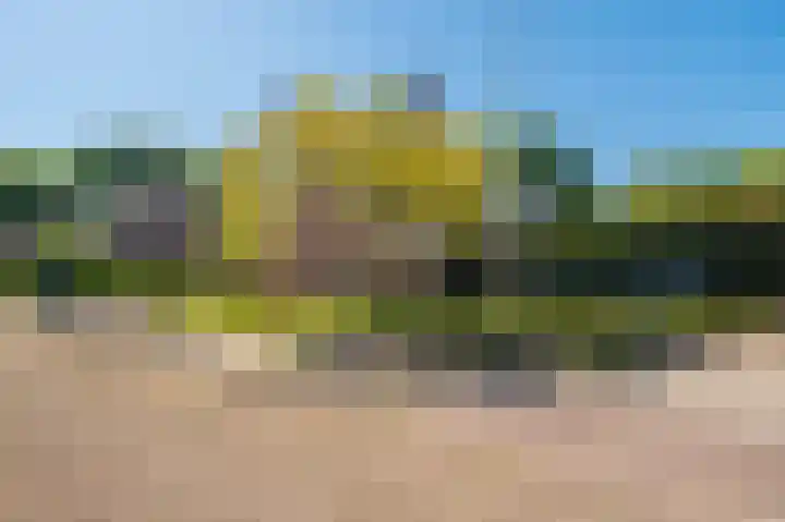 Rietzoom 17 Delfzijl thumbnail 15