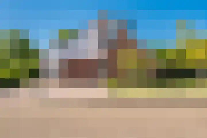Rietzoom 17 Delfzijl thumbnail 17