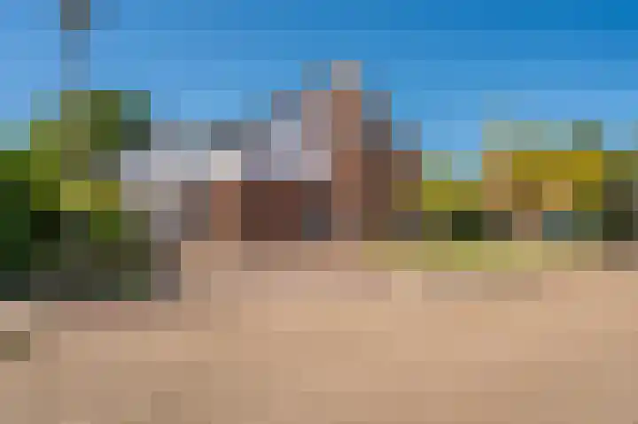 Rietzoom 17 Delfzijl thumbnail 18