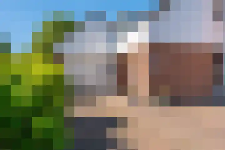 Rietzoom 17 Delfzijl thumbnail 19