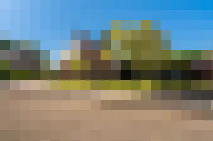 Rietzoom 17 Delfzijl foto 2