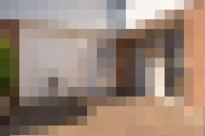 Rietzoom 17 Delfzijl thumbnail 21