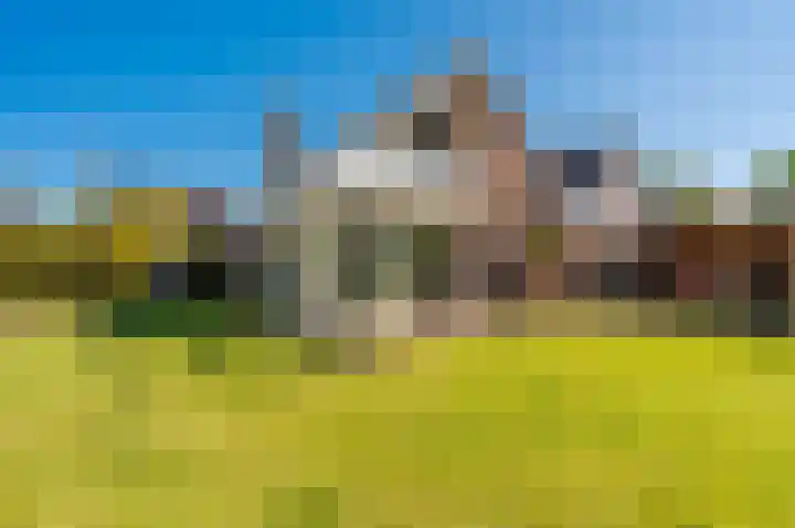 Rietzoom 17 Delfzijl thumbnail 22