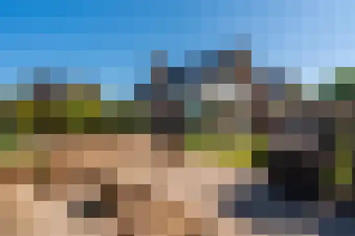 Rietzoom 17 Delfzijl thumbnail 23