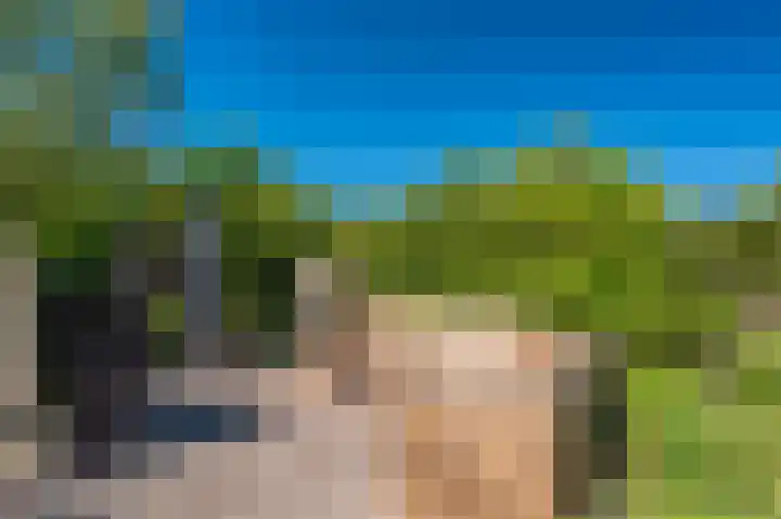 Rietzoom 17 Delfzijl thumbnail 24
