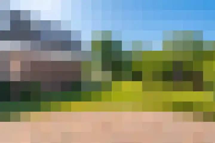 Rietzoom 17 Delfzijl thumbnail 25