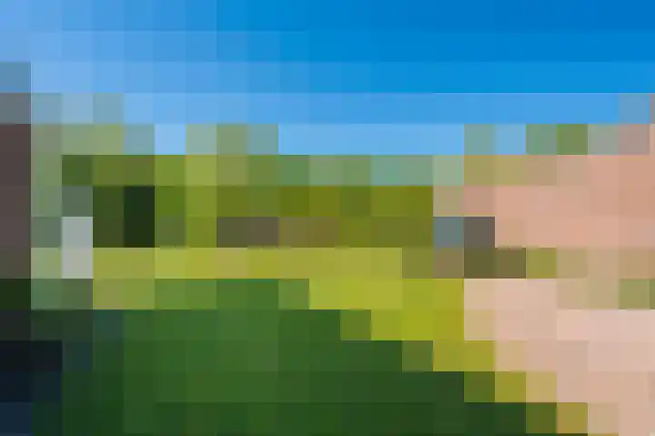 Rietzoom 17 Delfzijl thumbnail 26