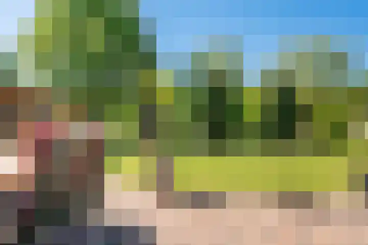 Rietzoom 17 Delfzijl thumbnail 27