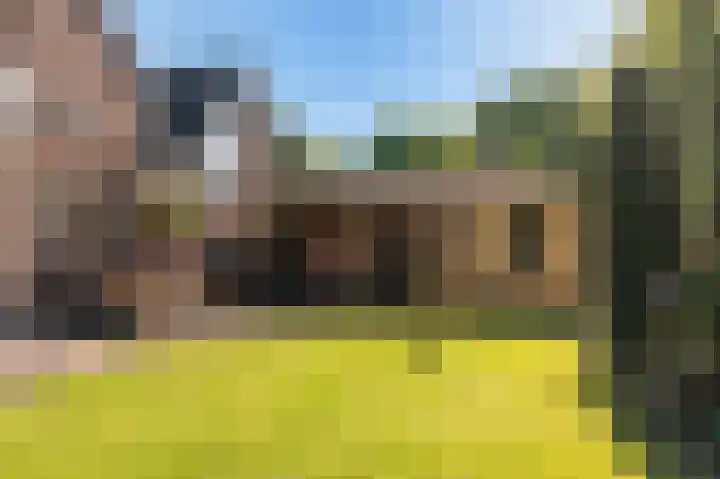 Rietzoom 17 Delfzijl thumbnail 28
