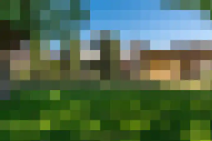 Rietzoom 17 Delfzijl thumbnail 29