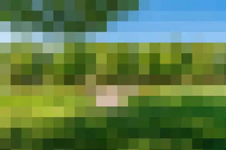Rietzoom 17 Delfzijl thumbnail 30