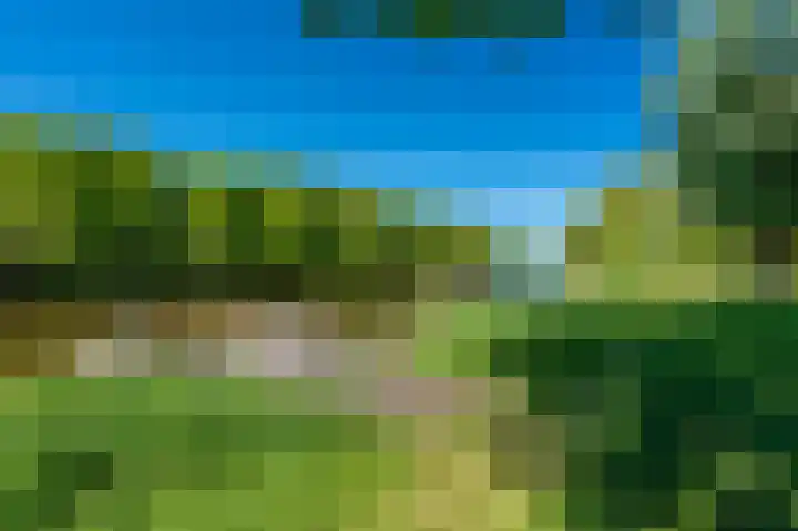 Rietzoom 17 Delfzijl thumbnail 31