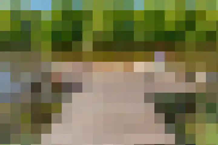 Rietzoom 17 Delfzijl thumbnail 32