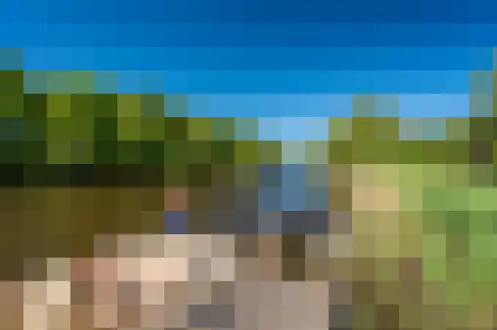 Rietzoom 17 Delfzijl thumbnail 33