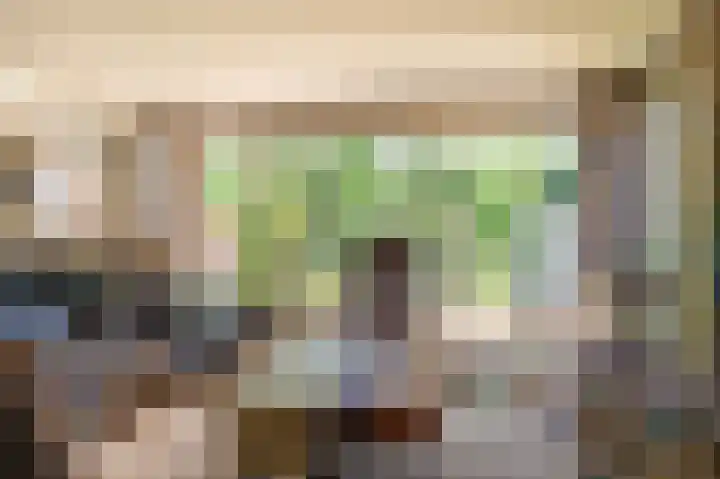 Rietzoom 17 Delfzijl thumbnail 40